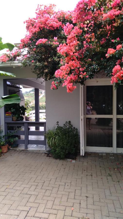 Casa Deni Βίλα Nova Petropolis Εξωτερικό φωτογραφία