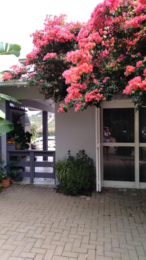Casa Deni Βίλα Nova Petropolis Εξωτερικό φωτογραφία