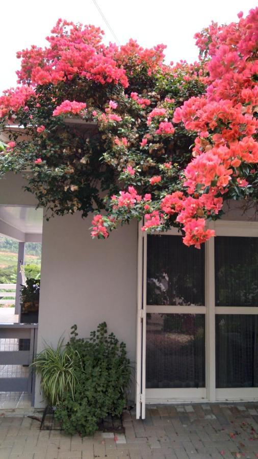 Casa Deni Βίλα Nova Petropolis Εξωτερικό φωτογραφία