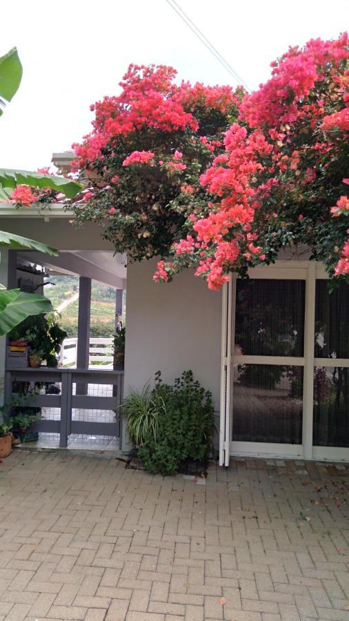 Casa Deni Βίλα Nova Petropolis Εξωτερικό φωτογραφία